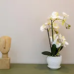 Ng Collection I Graniti アパート