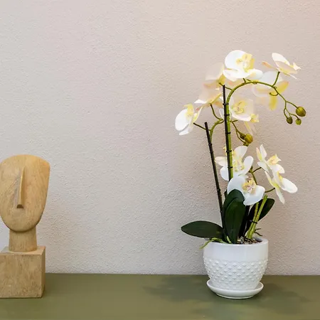 Ng Collection I Graniti Apartamento